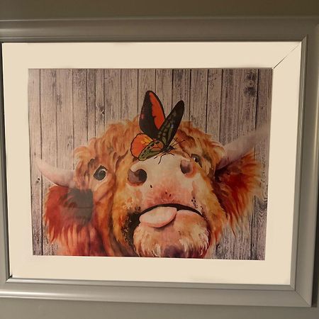 The Veterinary @ Kildare Village エクステリア 写真