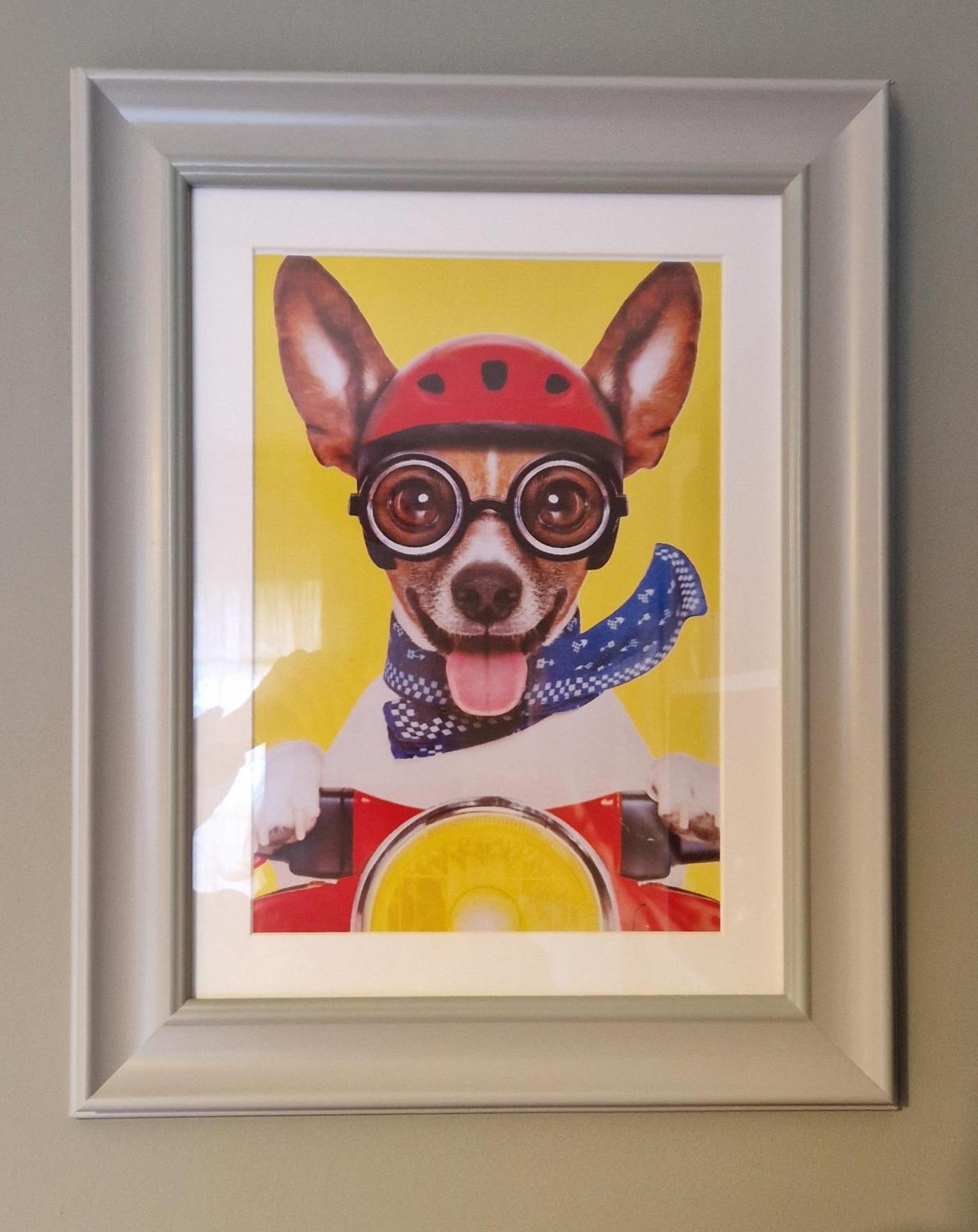 The Veterinary @ Kildare Village エクステリア 写真