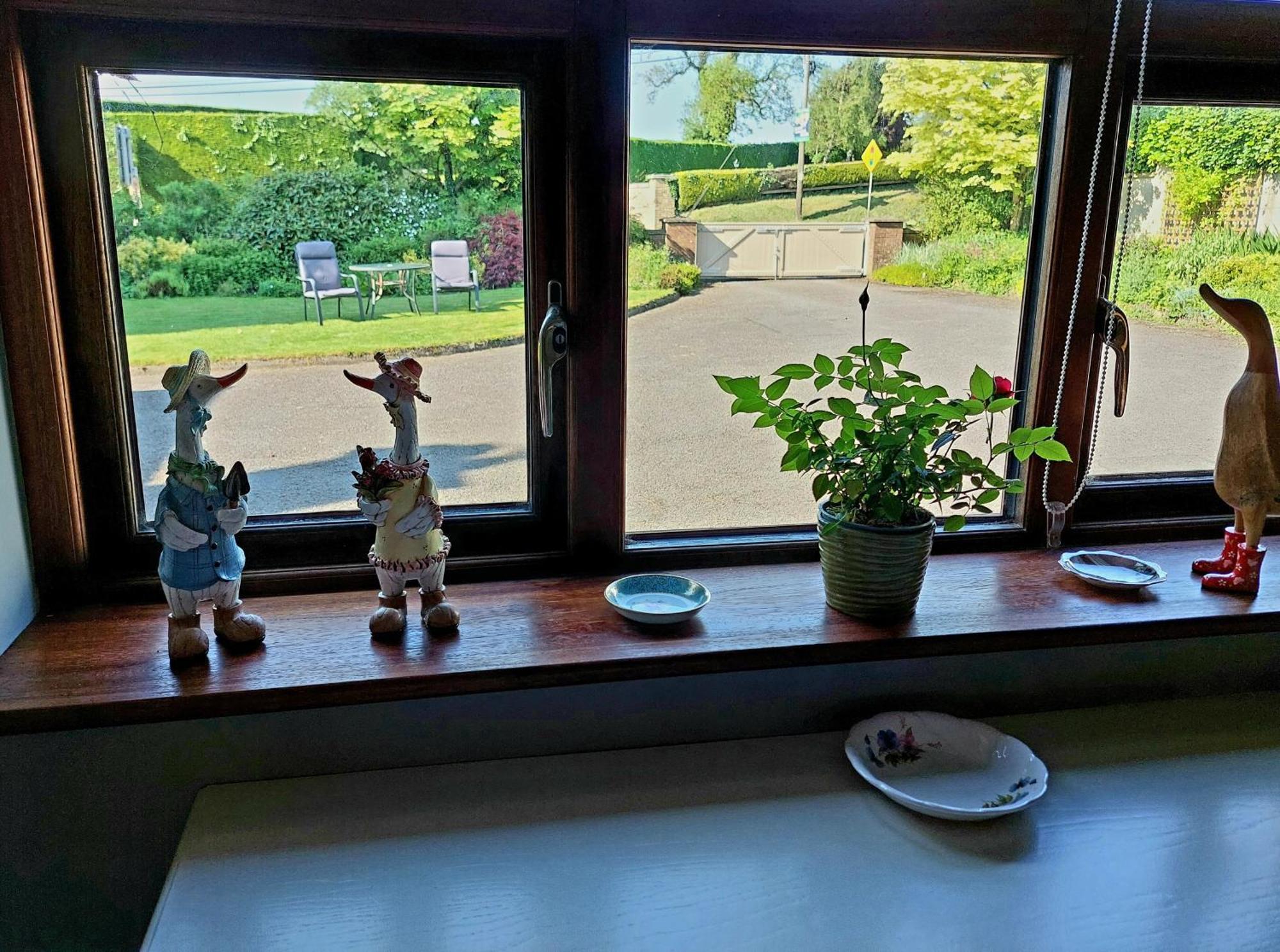 The Veterinary @ Kildare Village エクステリア 写真