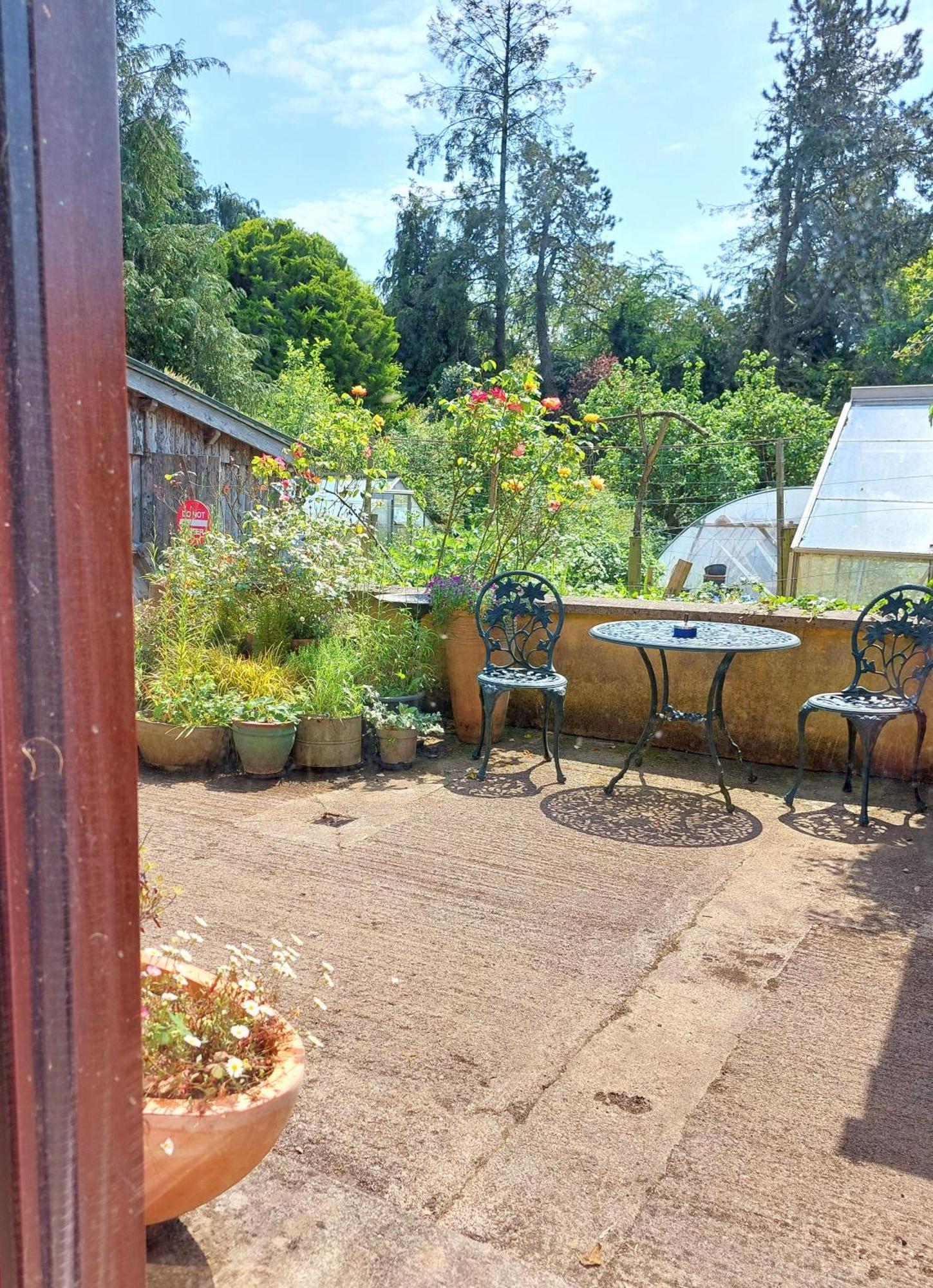 The Veterinary @ Kildare Village エクステリア 写真