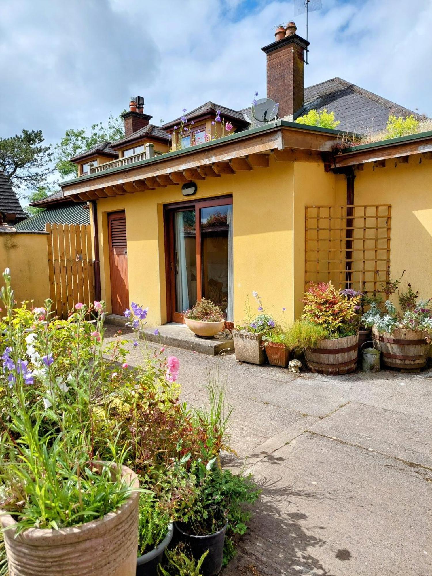 The Veterinary @ Kildare Village エクステリア 写真